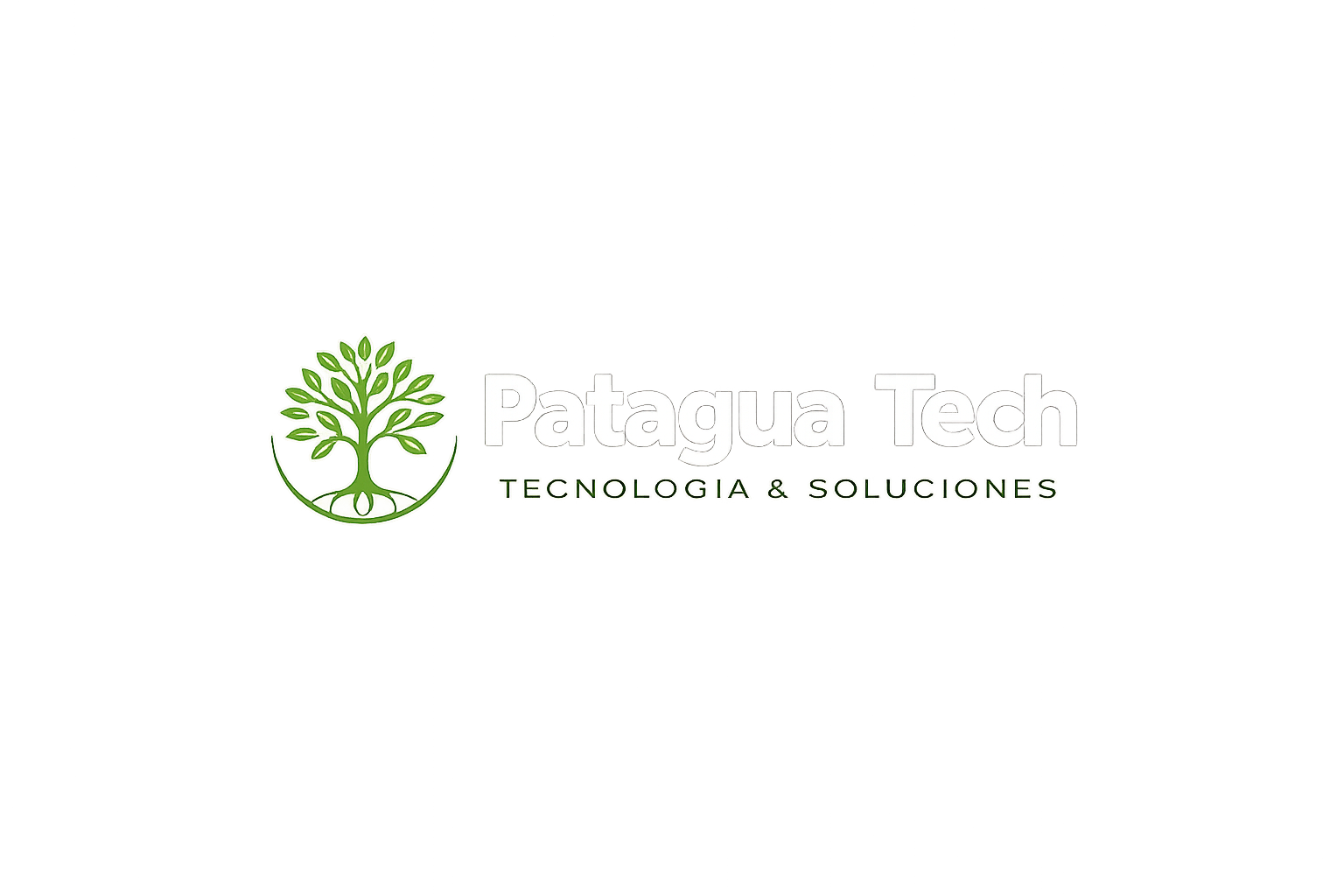 Patagua Tech
